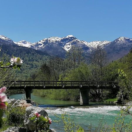 Apartma In Sobe Pr'Objan Bohinj Exteriör bild