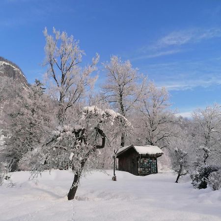 Apartma In Sobe Pr'Objan Bohinj Exteriör bild