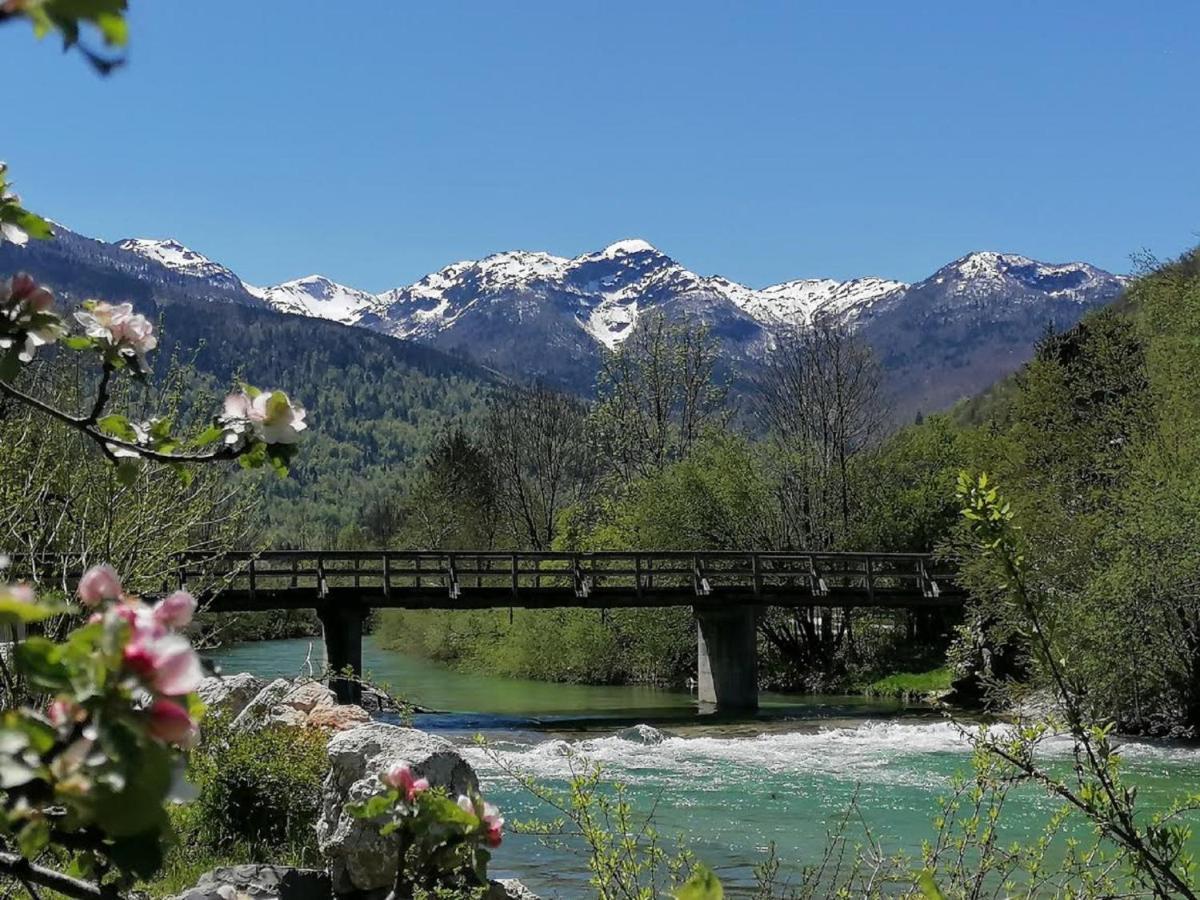 Apartma In Sobe Pr'Objan Bohinj Exteriör bild