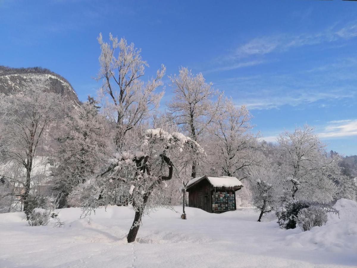 Apartma In Sobe Pr'Objan Bohinj Exteriör bild